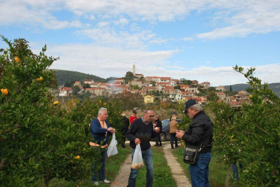 Villa Danica Vid Kültér fotó