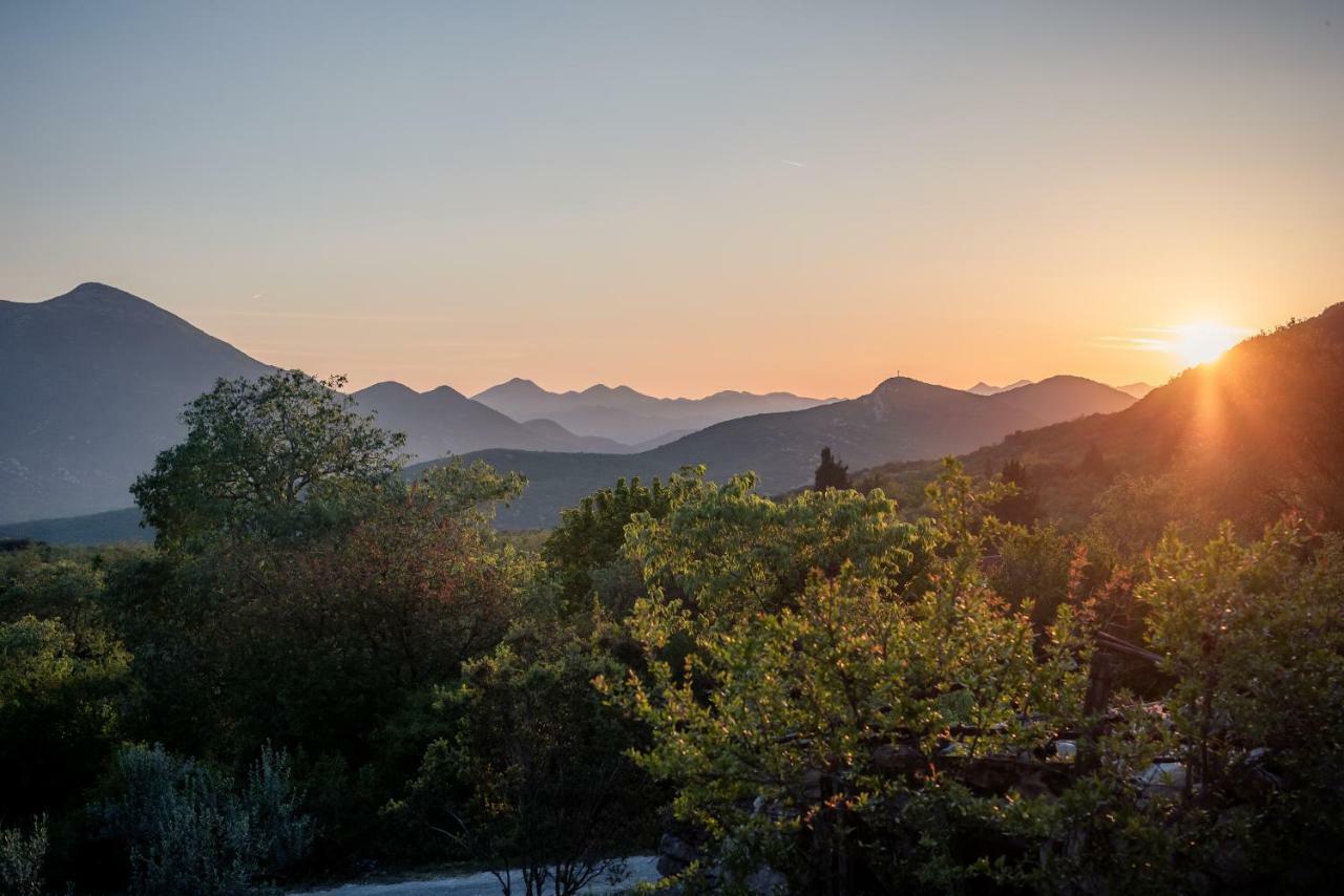 Villa Danica Vid Kültér fotó